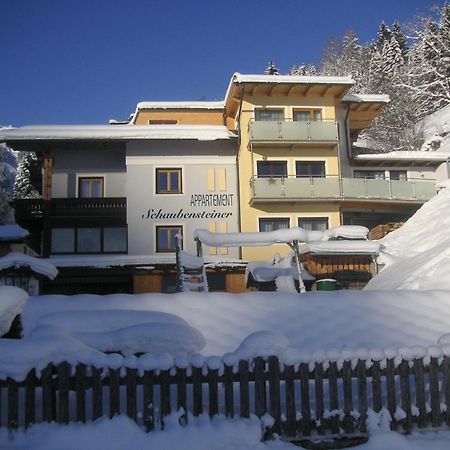 Appartement Schaubensteiner ツェル アム ゼー エクステリア 写真