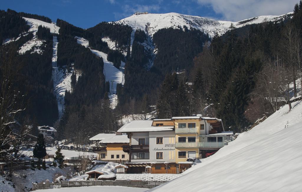 Appartement Schaubensteiner ツェル アム ゼー エクステリア 写真